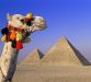SUPER LAST MINUTE EGYPT