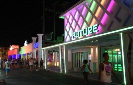 Olive Grove Beachfront