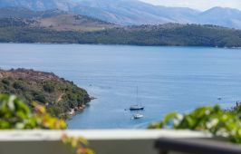 Rodostamo Collection