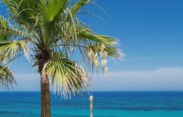 Porto Zante Villas And Spa