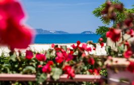 Lemonia Accommodations