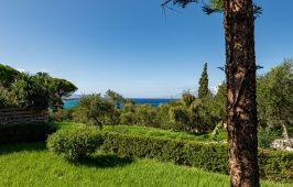 Ionian Aura Zakynthos