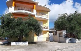 Olive Tree Apartment