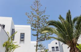 Scorpios Beach Hotel