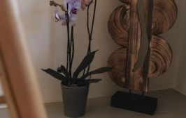 George & Joanna Suites