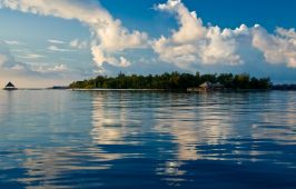 Coco Bodu Hithi