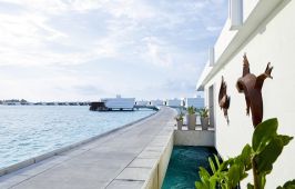 Hotel Riu Atoll