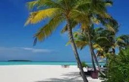 Dhigufaru Island Resort