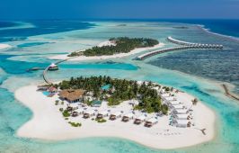 Cinnamon Hakuraa Huraa