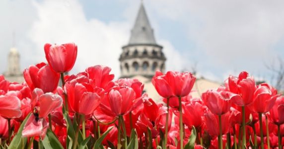 Фестивал на лалето 2020 в Истанбул