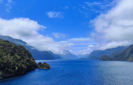 Круиз Австралия и Нова Зеландия 26.11.2026