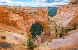 САЩ – ЗАПАДНА ИСТОРИЯ