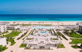 Cleopatra Sidi Heneish Premium