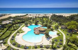 Sentido Phenicia Superior