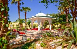 SIMBA CLUB - Samira Club Standard