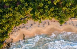 АПРИЛСКА ВАКАНЦИЯ 2026 В ШРИ ЛАНКА / ПОЧИВКА - 8 НОЩУВКИ, 9 ДНИ / ДАТИ: 03.04.2026 - 11.04.2026