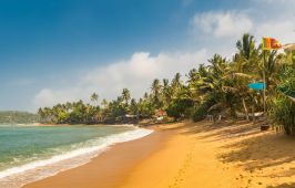 ШРИ ЛАНКА / ОБИКОЛЕН ТУР С ПОЧИВКА - 8 НОЩУВКИ, 11 ДНИ / ДАТИ: 27.03.2026 - 05.04.2026