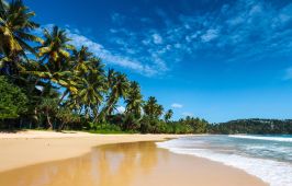 ШРИ ЛАНКА / ПОЧИВКА - 8 НОЩУВКИ, 11 ДНИ / ДАТИ: 27.03.2026 - 05.04.2026