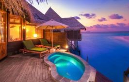 COCO PALM DHUNI KOLHU