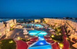 IVY CYRENE SHARM ADULTS ONLY 13+