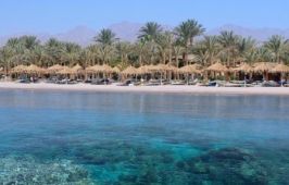 JAZ SHARM DREAMS RESORT